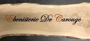 Kevin Guyon Thônes, Professionnel indépendant