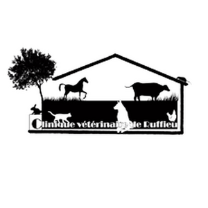 Clinique vétérinaire de Ruffieu Nivolas-Vermelle, Professionnel indépendant