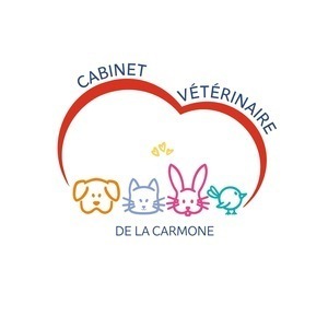 Cabinet Vétérinaire de la Carmone Saint-Pourçain-sur-Sioule, Professionnel indépendant
