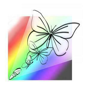 Sandra Chabanne Saint-Martin-du-Mont, Professionnel indépendant